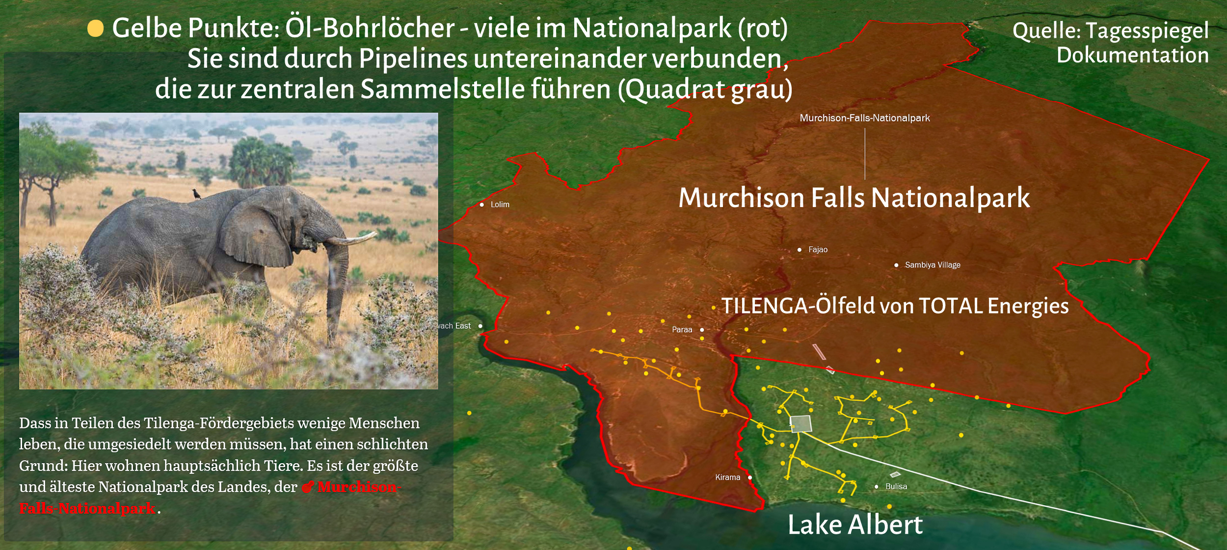 Das zur Hälfte im Nationalpark liegende Ölfeld TILENGA, das von TOTAL betrieben wird.